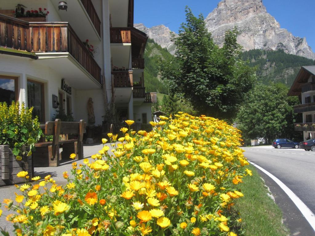 Hotel Borest Colfosco Dış mekan fotoğraf